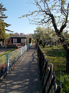 Einblick in die Gartenanlage